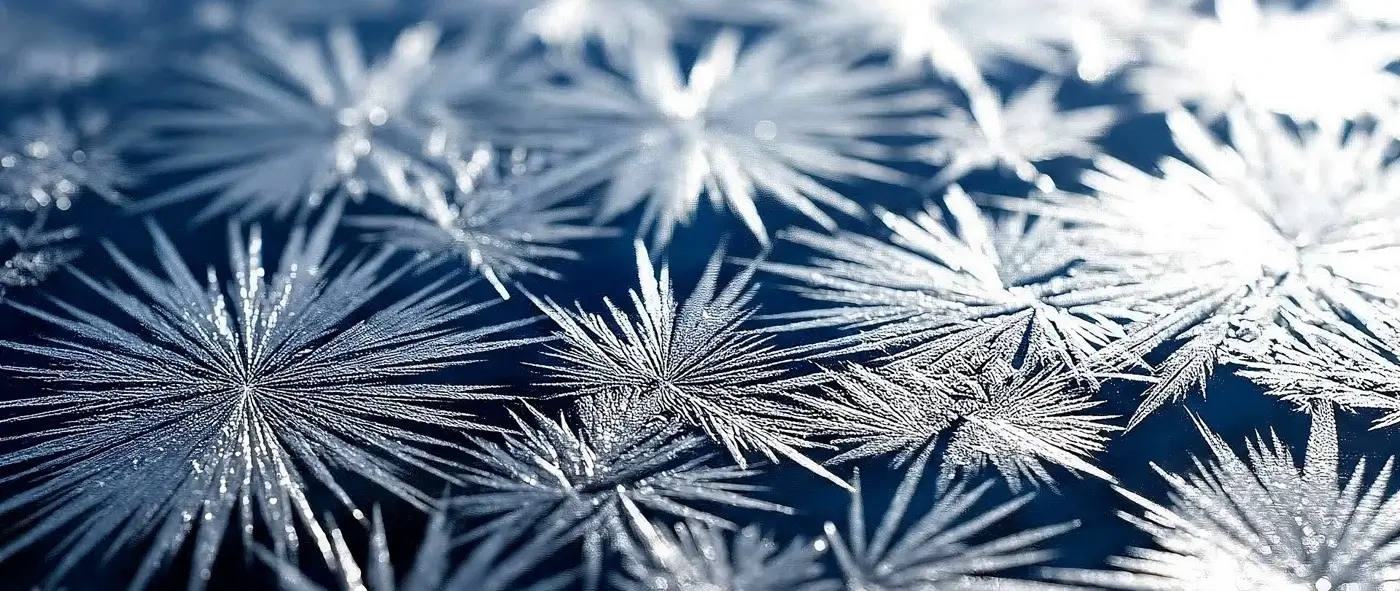 Надежда Улумбекова — ведущая арт-сезона